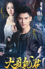 大夏龙君 封面