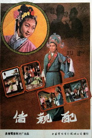 借亲配 封面