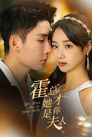 霍总她才是你夫人 封面