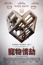 爱宠 封面