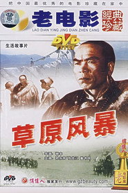 草原风暴 封面