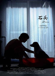 石头 封面