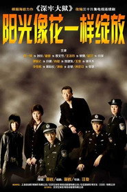 阳光像花一样绽放 封面