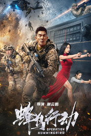 蜂鸟行动 封面