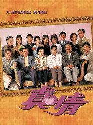 真情 封面