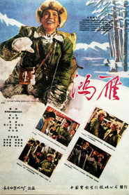 鸿雁 封面