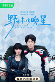 野林向晚星 封面