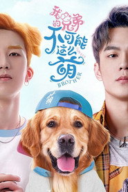 我的兄弟不可能这么萌 封面