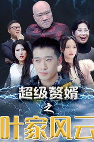 超级赘婿之叶家风云 封面
