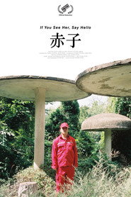 赤子 封面
