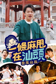 一条麻甩在汕头 封面