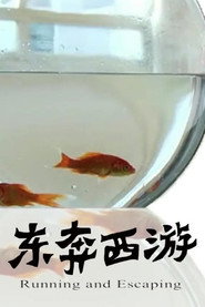 11度青春之东奔西游 封面