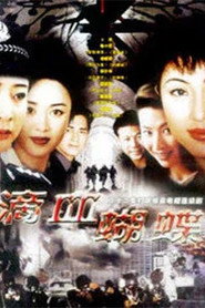 火蝴蝶 封面