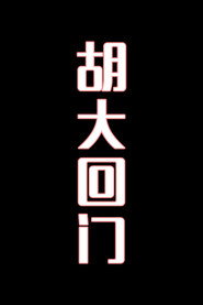 胡大回门-花鼓戏 封面