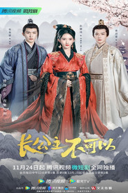 长公主不可以 封面