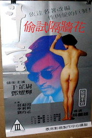 偷试隔墙花 封面
