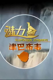 魅力津巴布韦 封面