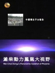 凤凰大视野:中国独生子女报告 封面