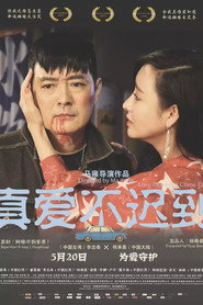 真爱不迟到 封面