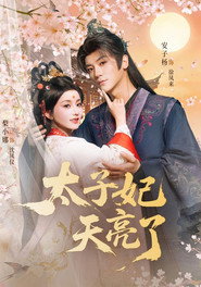 太子妃天亮了 封面