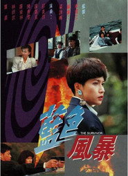 蓝色风暴 封面