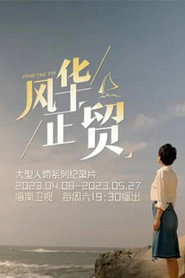 风华正贸 封面