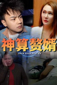 神算赘婿 封面