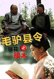 毛驴县令之移花接木 封面
