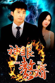 神眼赘婿 封面