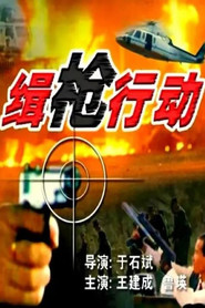 缉枪行动 封面
