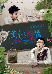 类似爱情 封面