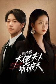 离婚后大佬夫人捅破天 封面
