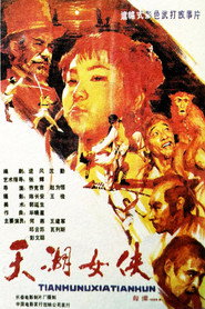 天湖女侠 封面