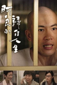 阿良的归白人生 封面