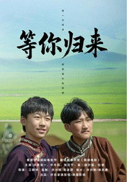 等你归来 封面