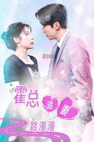 霍总追妻路漫漫 封面