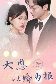 大恩以婚为报 封面