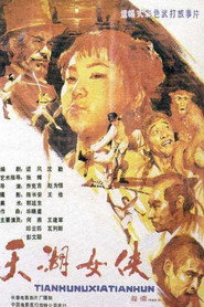 天湖女侠 封面