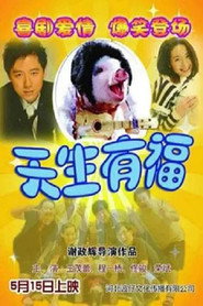 天生有福 封面