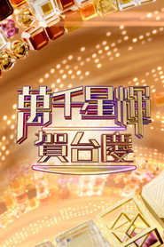万千星辉贺台庆 封面