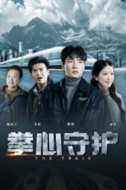 拳心守护 封面