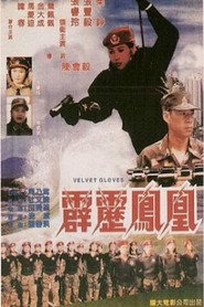 霹雳凤凰 封面