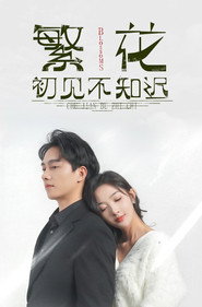 繁花初见不知迟 封面