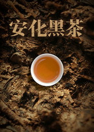 安化黑茶 封面