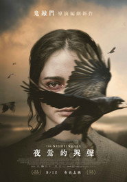 夜莺 封面