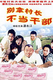 别拿村长不当干部 封面