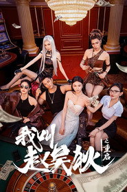 我叫赵吴狄之重启 封面