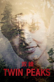 双峰 封面