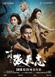 叶问外传:张天志 封面