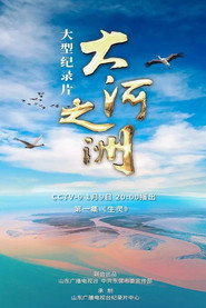 大河之洲 封面